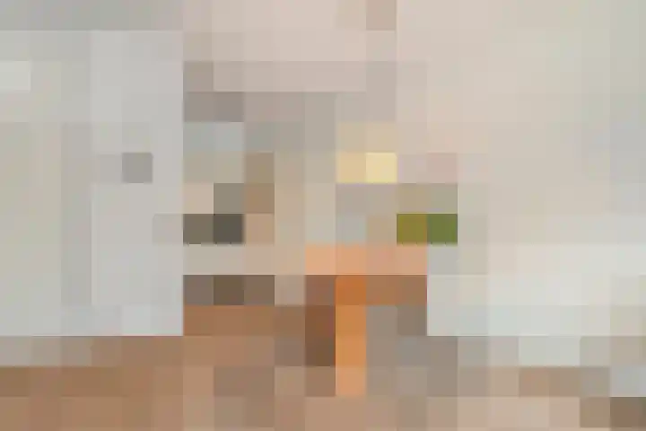 Gombertstraat 766 Zwolle thumbnail 21