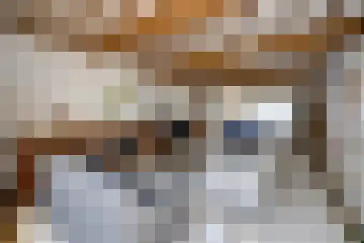 Gommelsestraat 22 Biezenmortel thumbnail 13