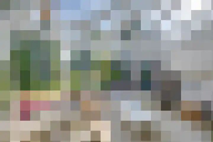 Gommelsestraat 22 Biezenmortel thumbnail 16