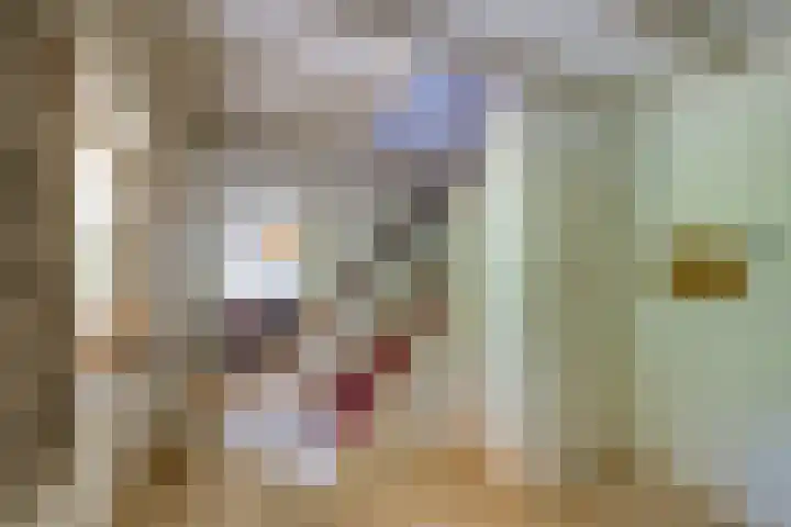 Gommelsestraat 22 Biezenmortel thumbnail 27