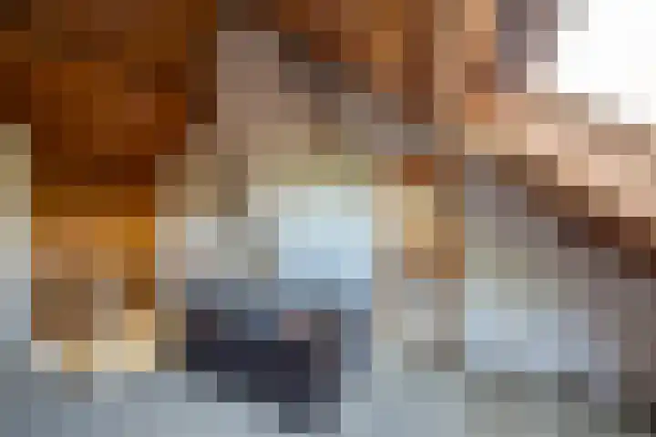 Gommelsestraat 22 Biezenmortel thumbnail 28