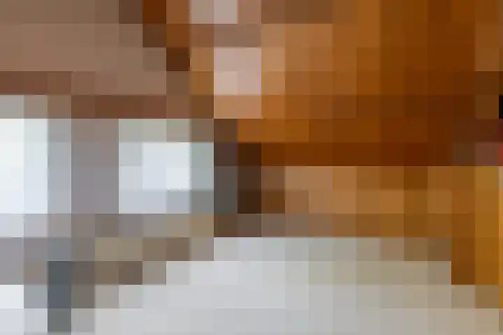 Gommelsestraat 22 Biezenmortel thumbnail 30