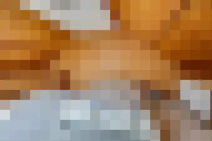 Gommelsestraat 22 Biezenmortel thumbnail 37