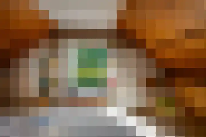Gommelsestraat 22 Biezenmortel thumbnail 38