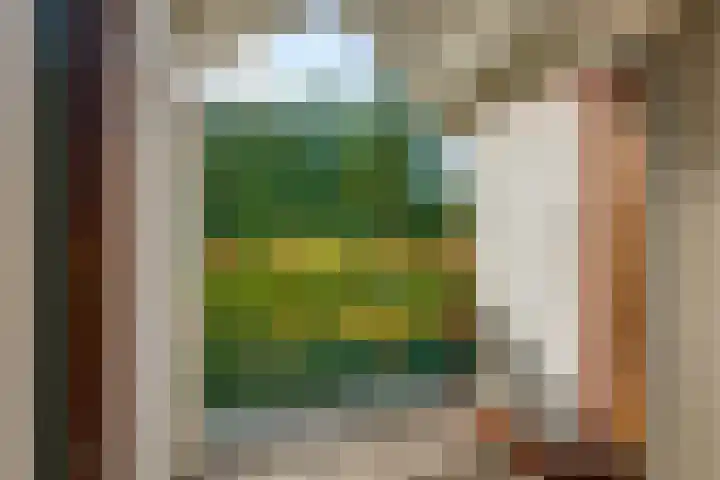 Gommelsestraat 22 Biezenmortel thumbnail 39