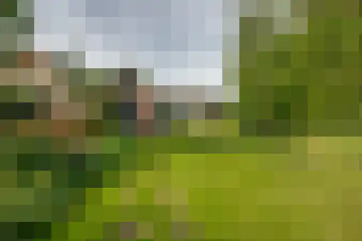 Gommelsestraat 22 Biezenmortel thumbnail 48