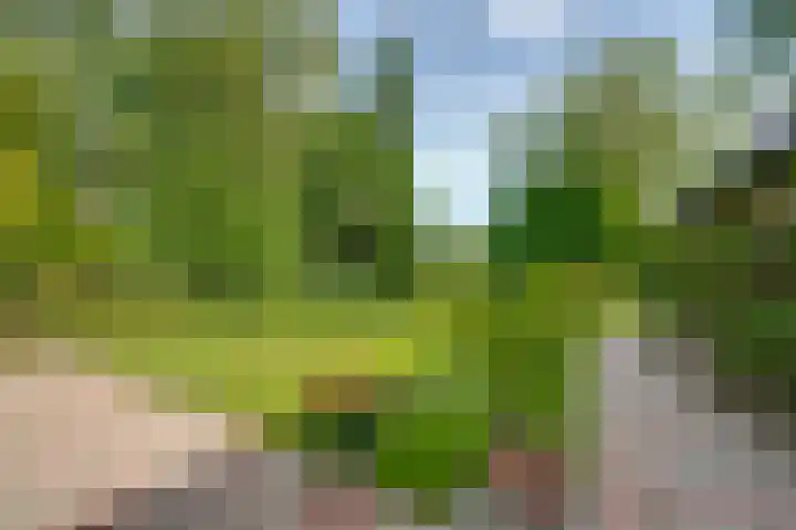 Gommelsestraat 22 Biezenmortel thumbnail 5
