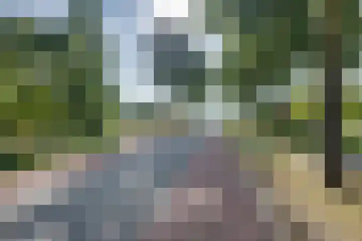 Gommelsestraat 22 Biezenmortel thumbnail 7