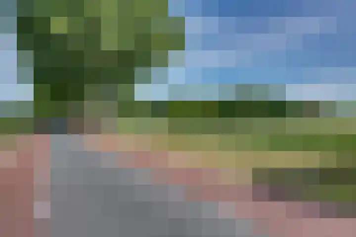 Gommelsestraat 22 Biezenmortel thumbnail 8