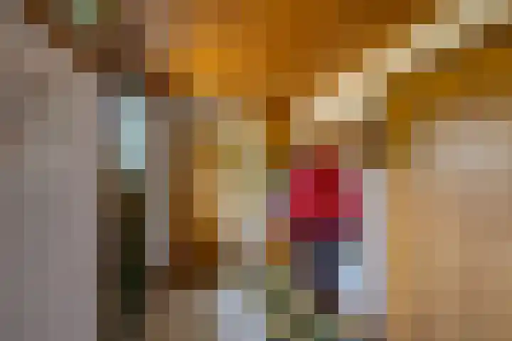 Gommelsestraat 22 Biezenmortel thumbnail 9