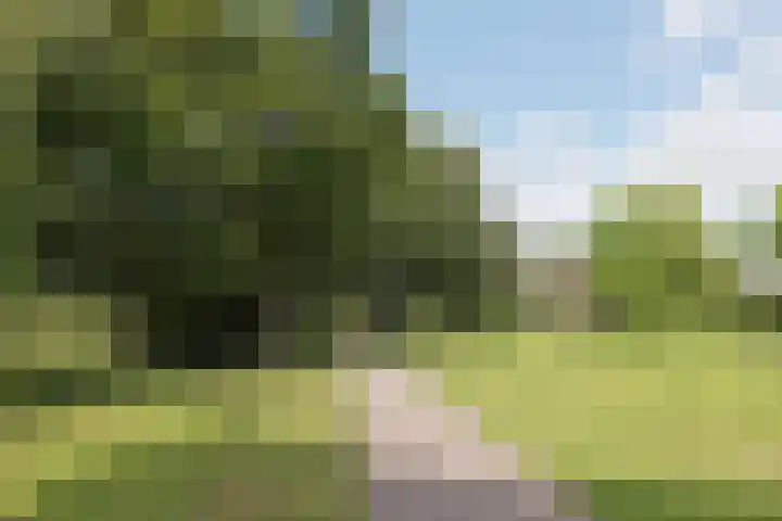 Gommerskerspel 33 Nieuw-Vennep thumbnail 18