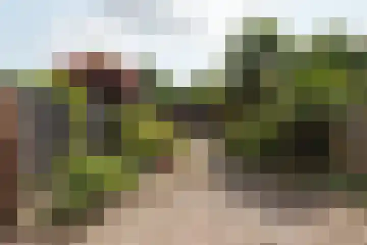 Gommerskerspel 33 Nieuw-Vennep thumbnail 4