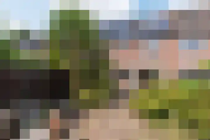 Gommerskerspel 33 Nieuw-Vennep thumbnail 5