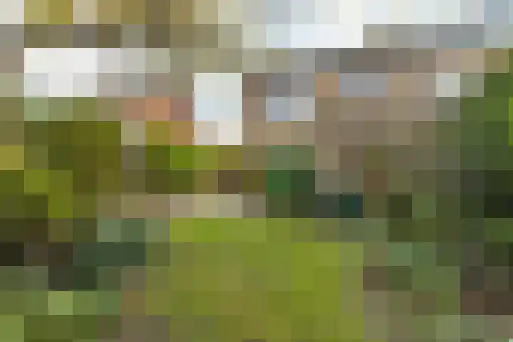 Gommersstraat 10 Rijsbergen thumbnail 31