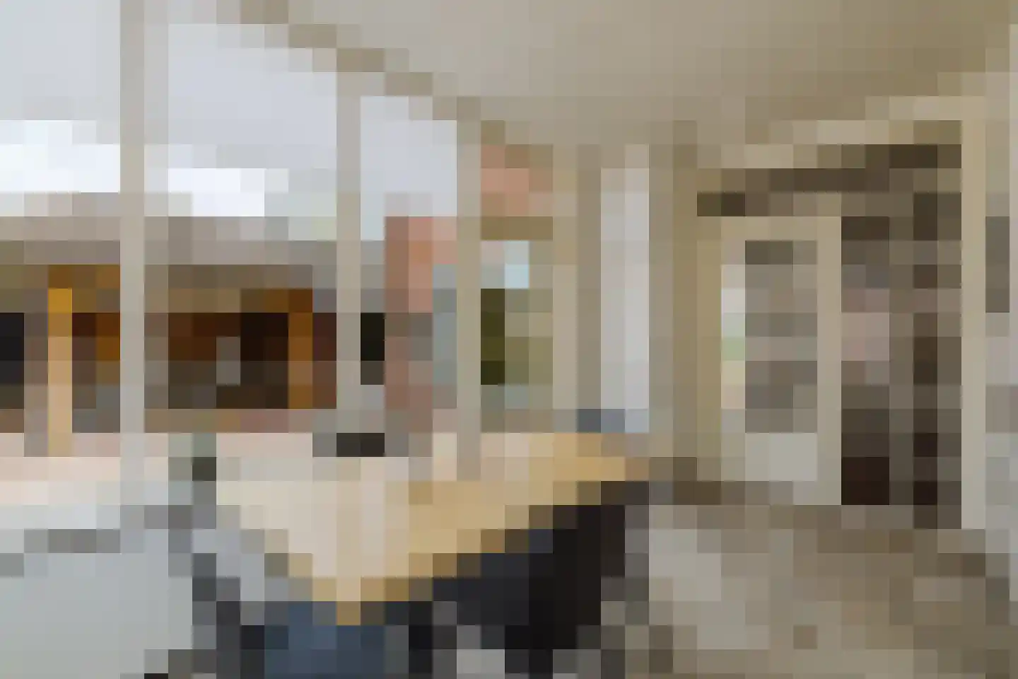 Gommersstraat 2 Rijsbergen thumbnail 18