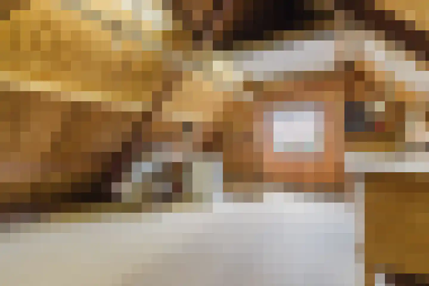 Gommersstraat 2 Rijsbergen thumbnail 32