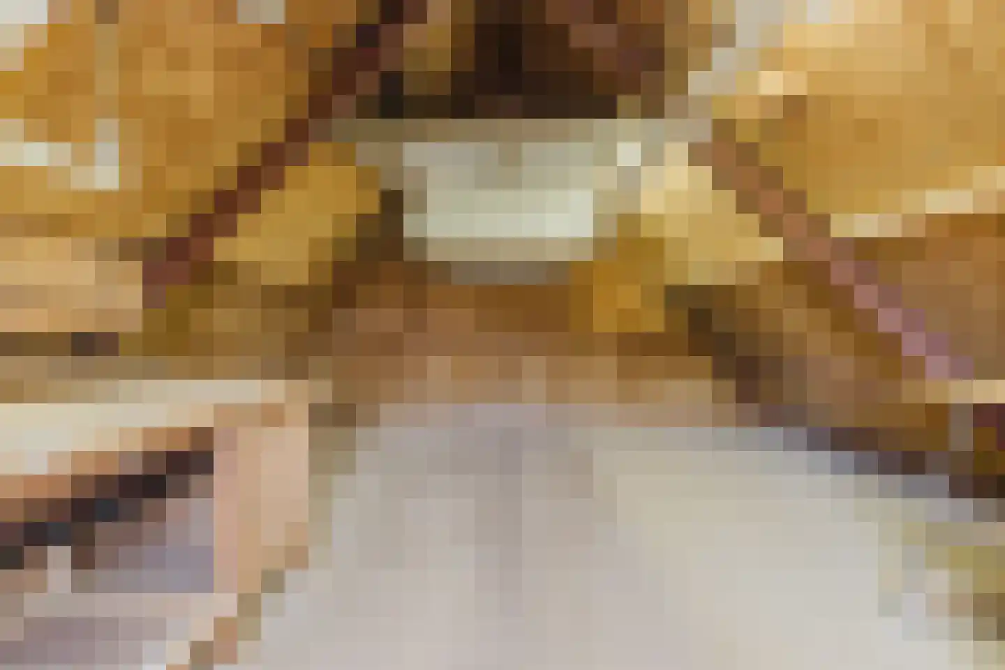 Gommersstraat 2 Rijsbergen thumbnail 33