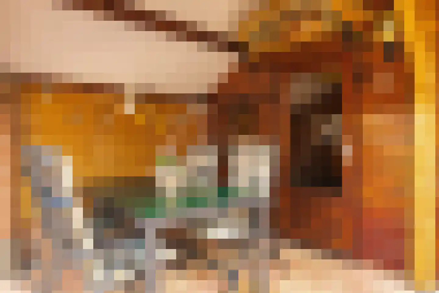Gommersstraat 2 Rijsbergen thumbnail 36