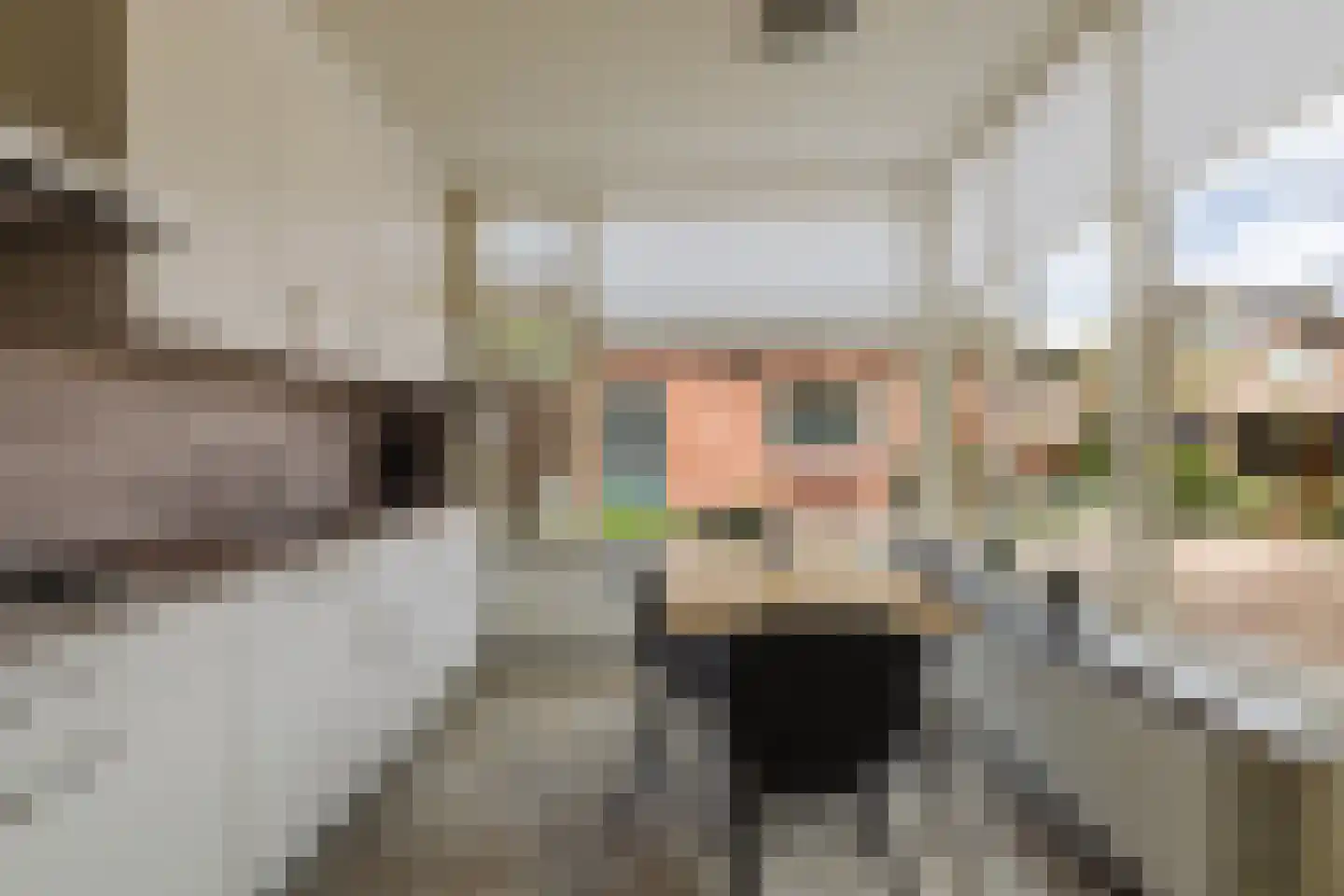 Gommersstraat 2 Rijsbergen thumbnail 5