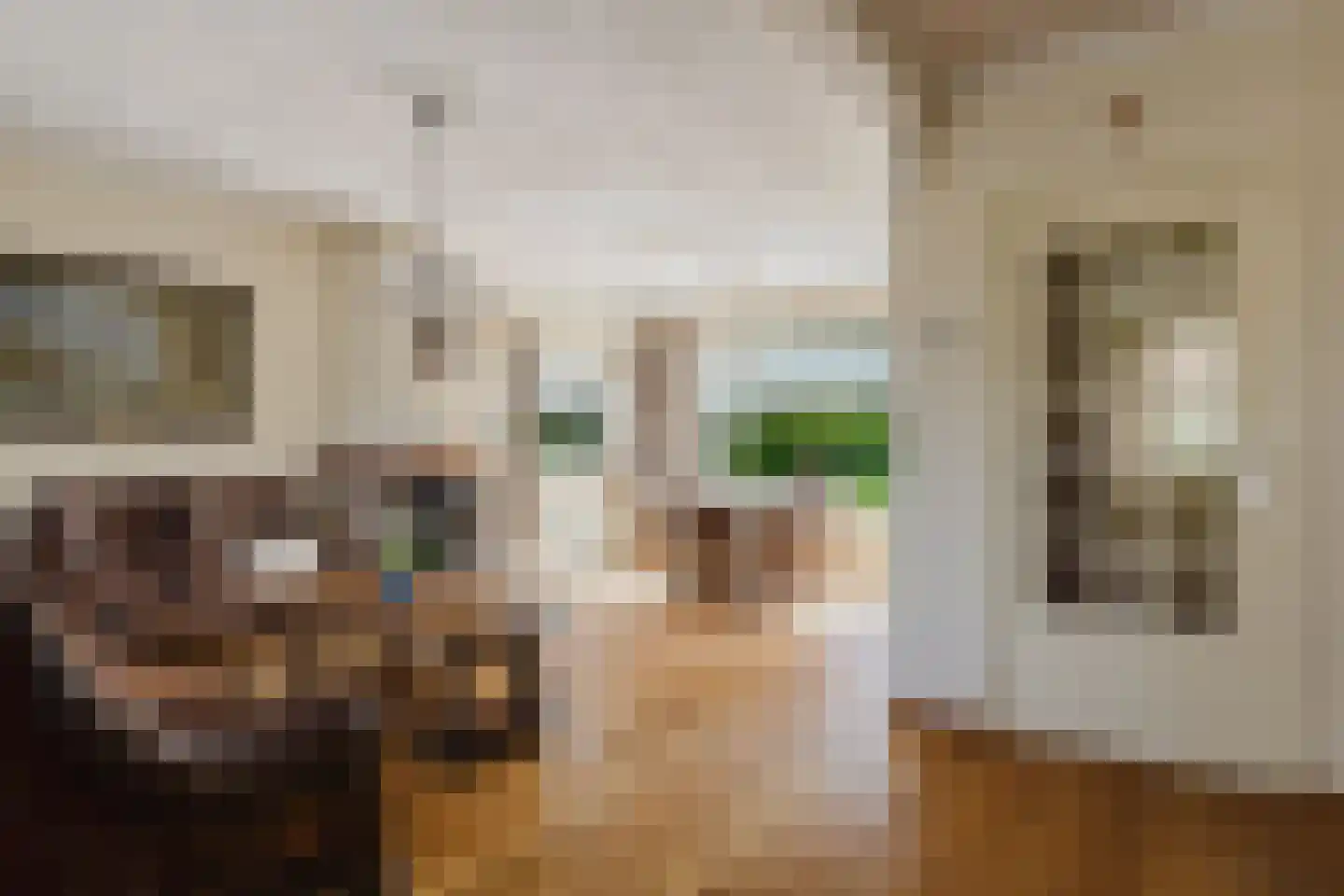 Gommersstraat 2 Rijsbergen thumbnail 9