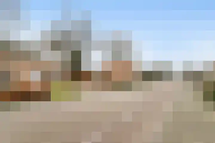 Gommersstraat 55 Rijsbergen thumbnail 33