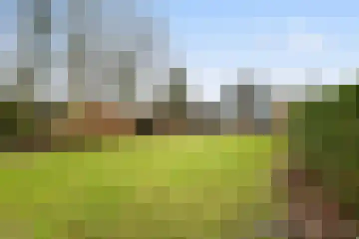 Gommersstraat 55 Rijsbergen thumbnail 35
