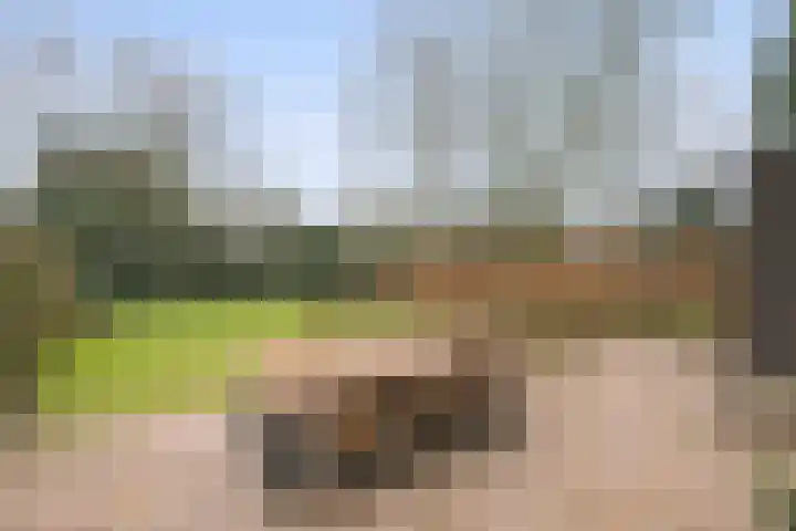 Gommersstraat 55 Rijsbergen thumbnail 38