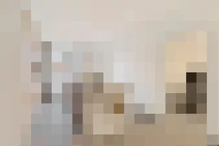 Gommersstraat 55 Rijsbergen thumbnail 8