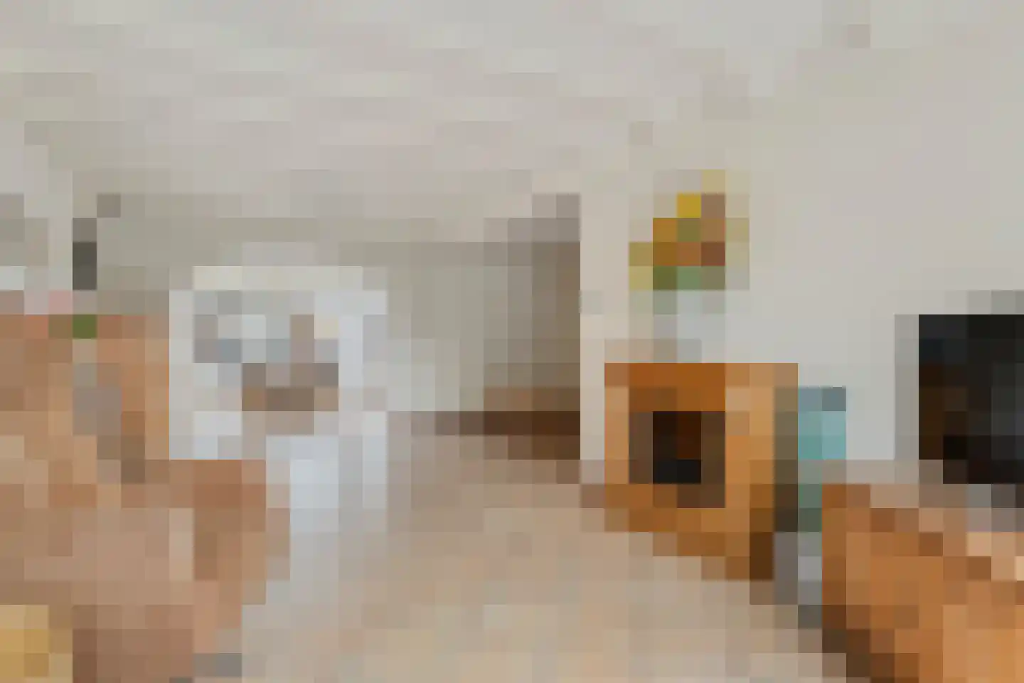 Gommersstraat 92 Rijsbergen thumbnail 7