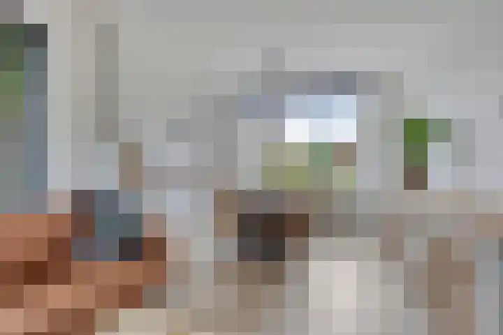 Gondalaan 50 Goor thumbnail 10