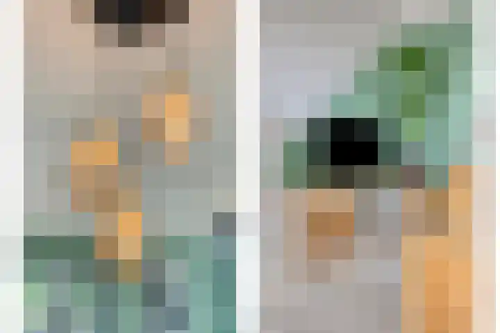 Gondalaan 50 Goor thumbnail 12
