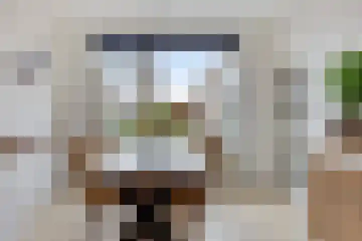 Gondalaan 50 Goor thumbnail 13