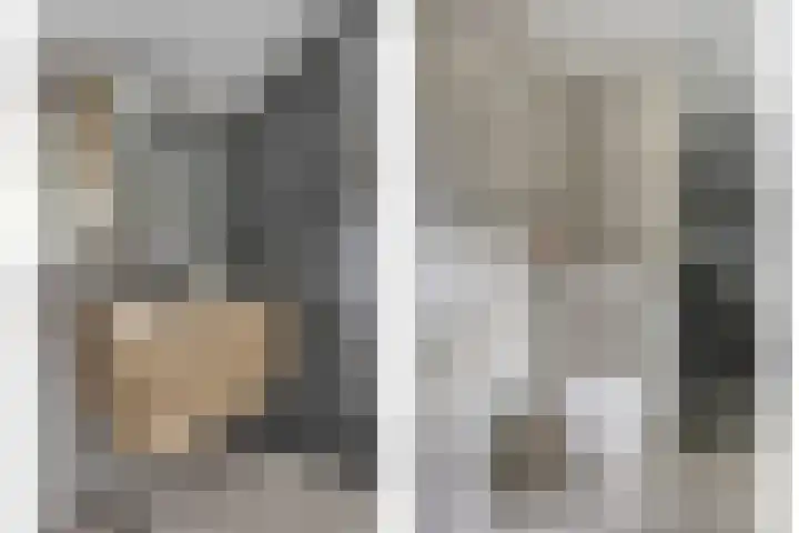 Gondalaan 50 Goor thumbnail 23