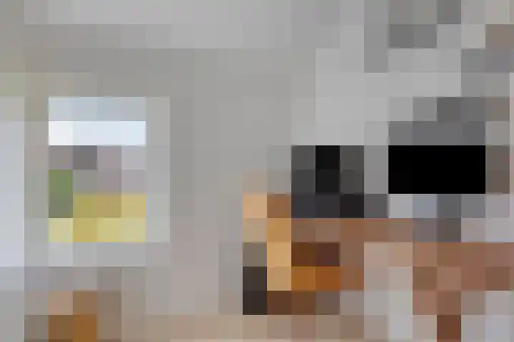 Gondalaan 50 Goor thumbnail 25