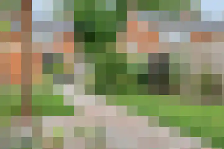 Gondalaan 50 Goor thumbnail 28