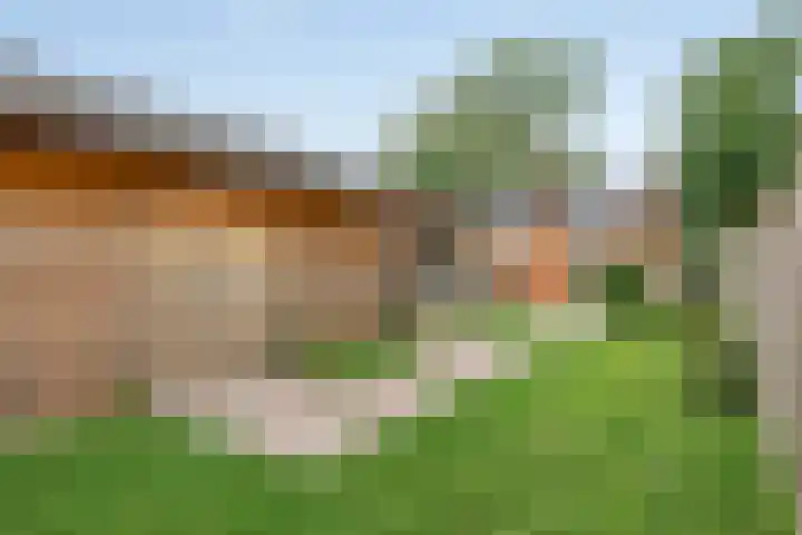 Gondalaan 50 Goor thumbnail 29