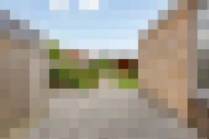 Gondalaan 50 Goor foto 3
