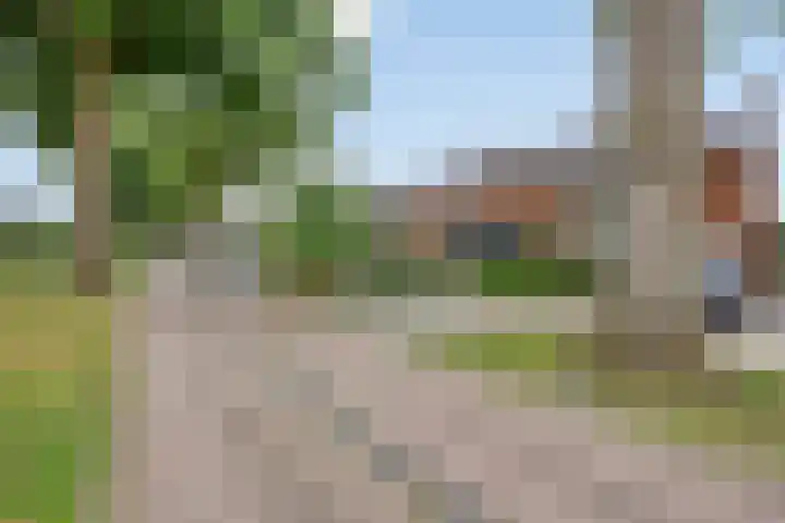 Gondalaan 50 Goor thumbnail 32