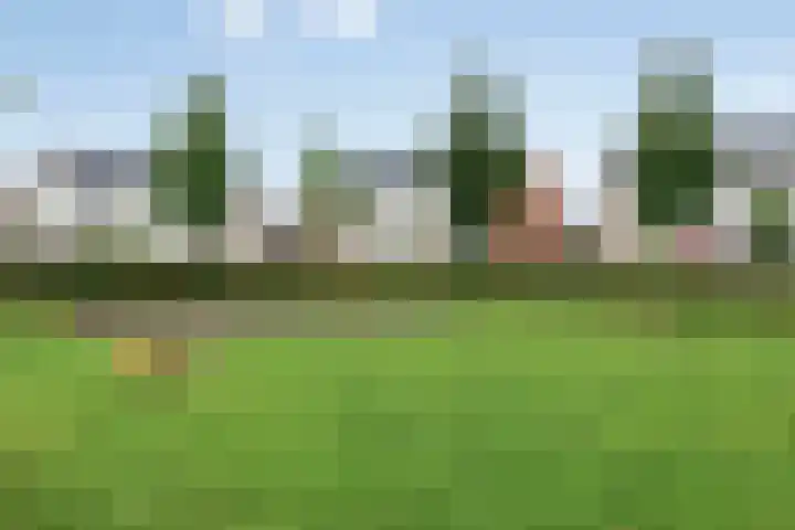 Gondalaan 50 Goor thumbnail 34