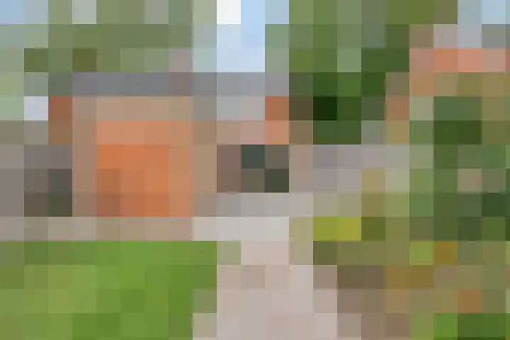 Gondalaan 50 Goor thumbnail 5