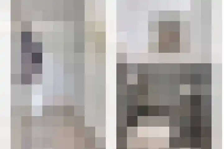 Gondalaan 50 Goor thumbnail 8