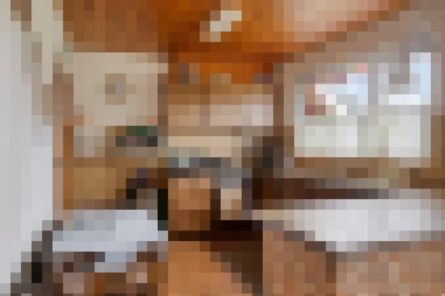 Gondalaan 51 Goor thumbnail 10
