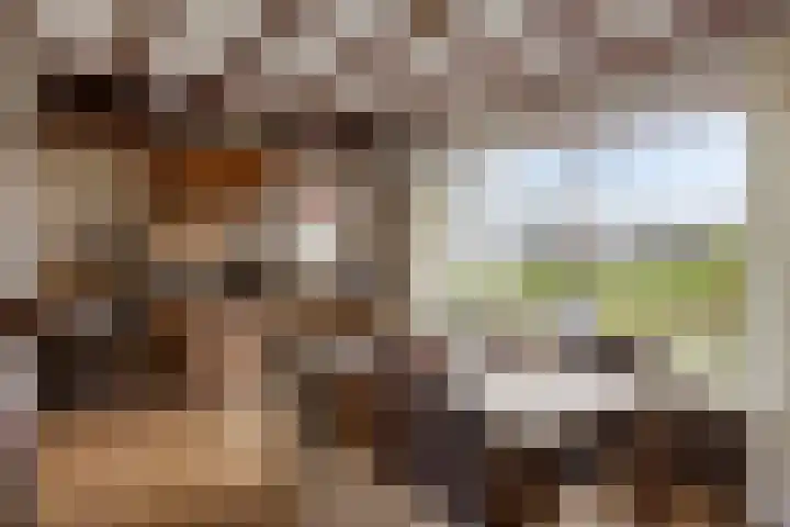 Gondalaan 51 Goor thumbnail 13