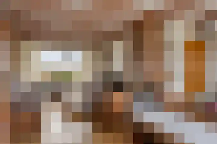 Gondalaan 51 Goor thumbnail 14