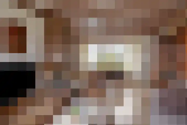 Gondalaan 51 Goor thumbnail 16