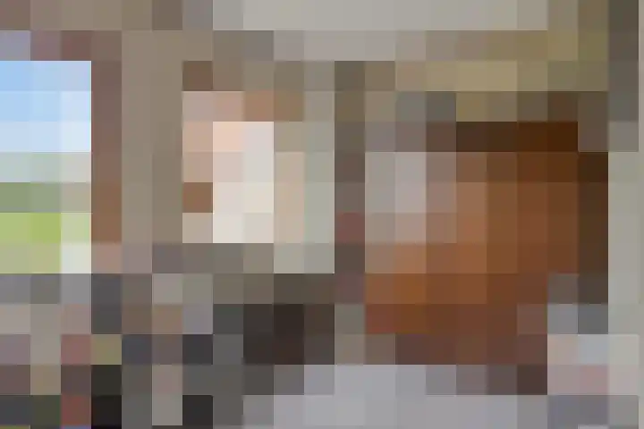 Gondalaan 51 Goor thumbnail 19
