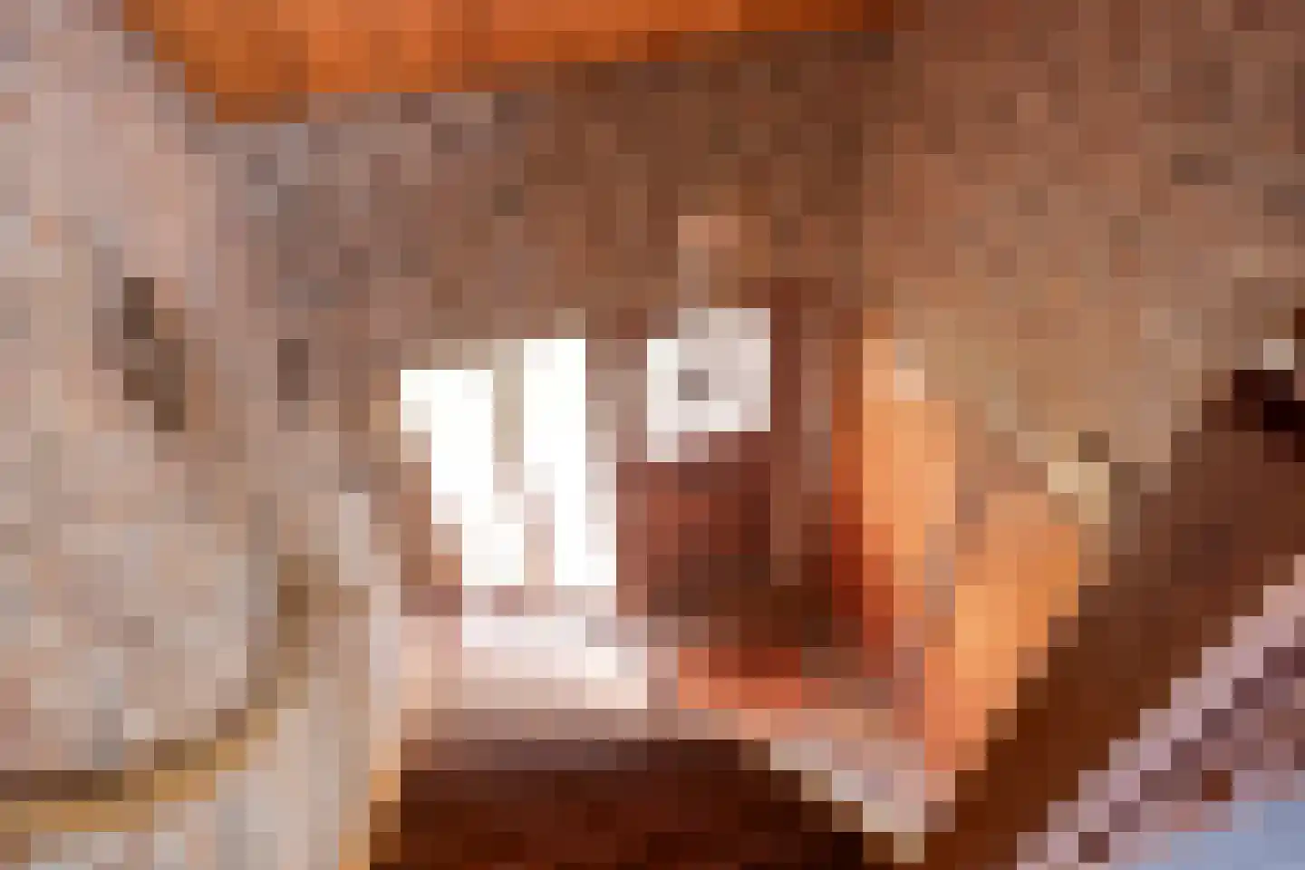 Gondalaan 51 Goor thumbnail 21