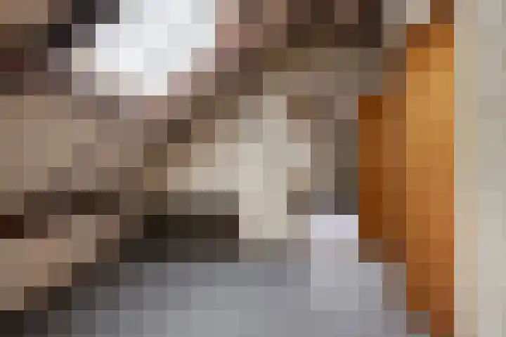 Gondalaan 51 Goor thumbnail 22