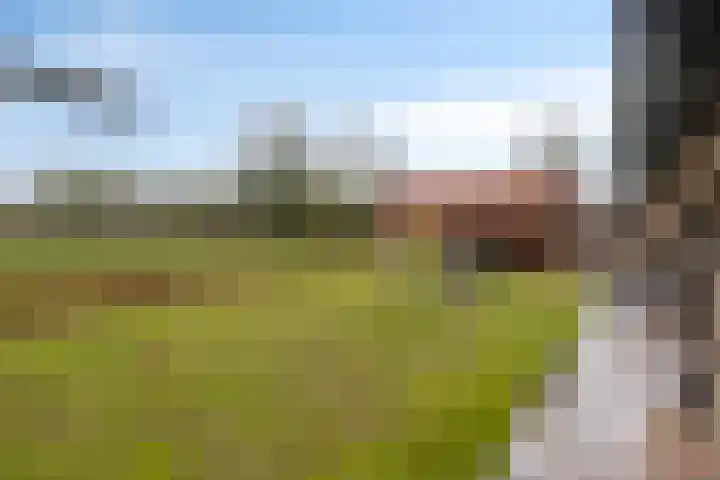 Gondalaan 51 Goor thumbnail 30