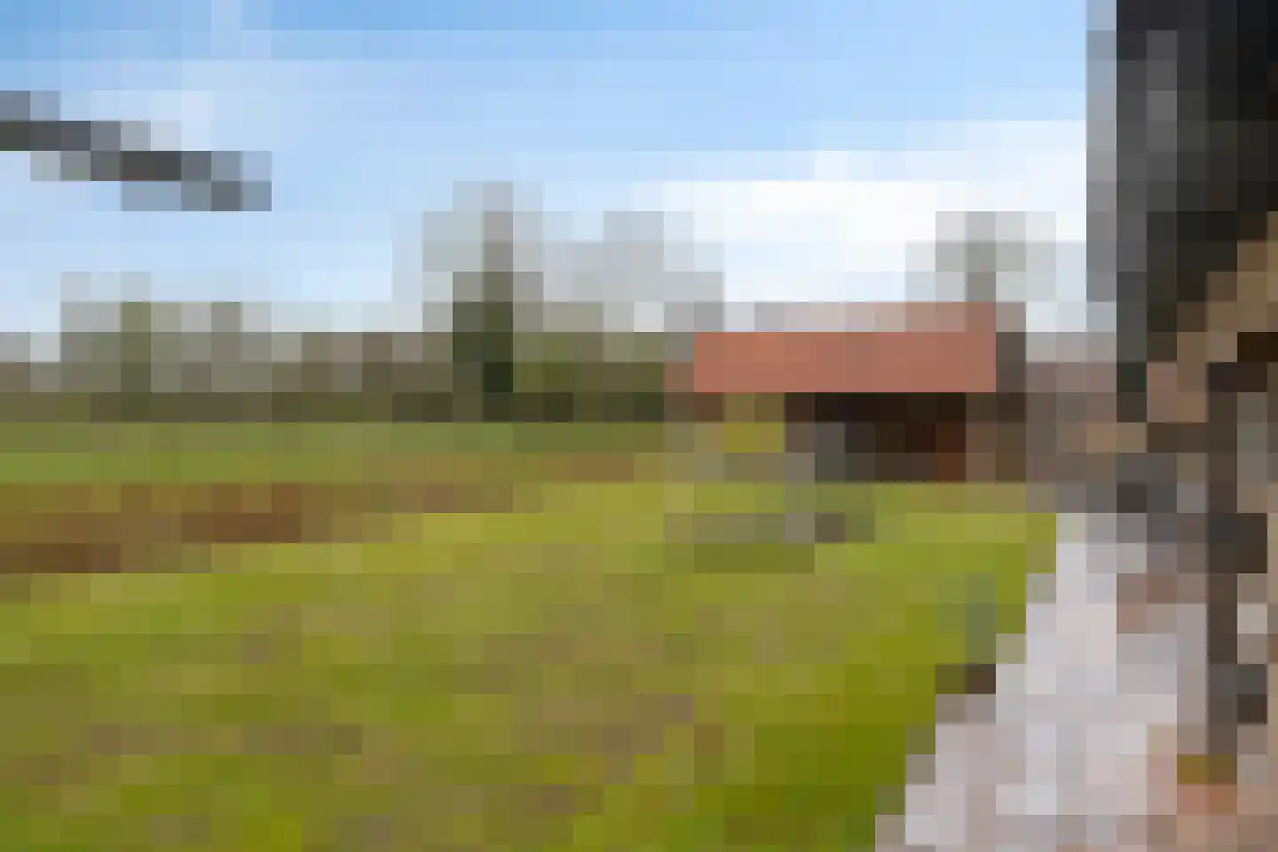 Gondalaan 51 Goor thumbnail 30